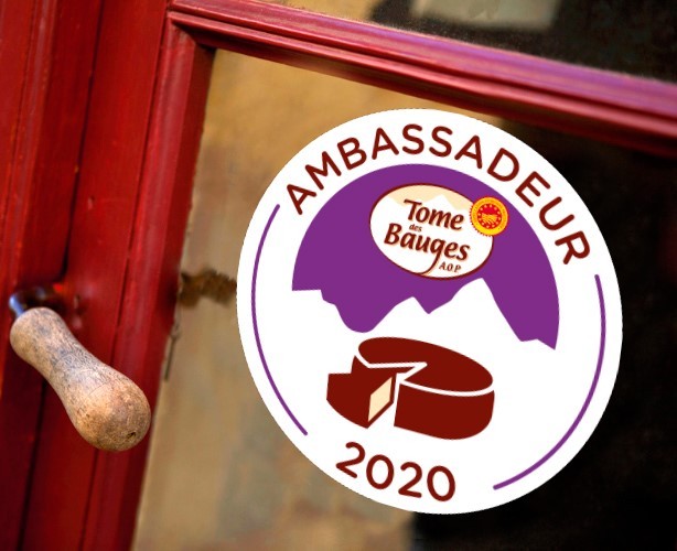 vitro-2020-mise-en-situation2-353