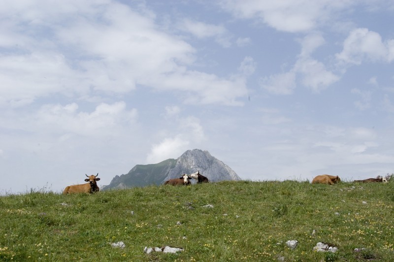 800x600-gaecdesneiges4-151-327