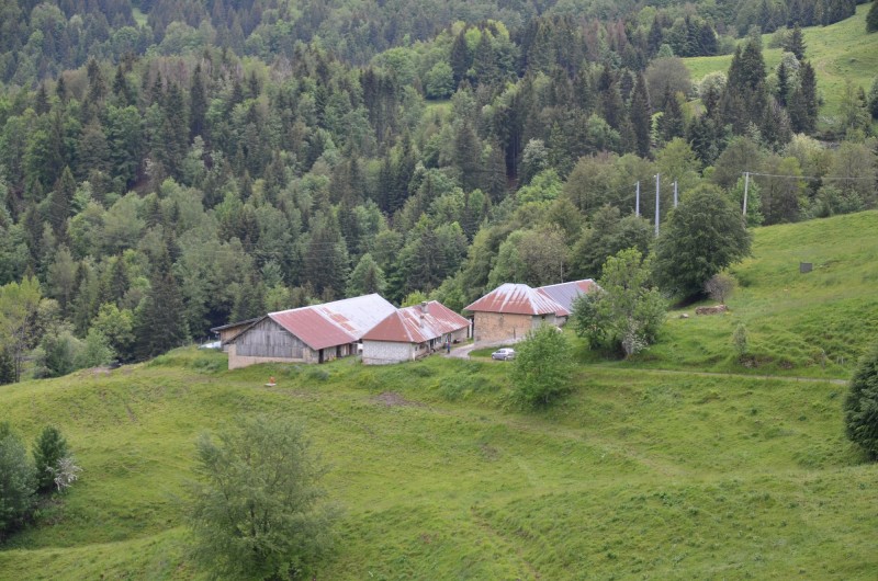 dsc-2804-156