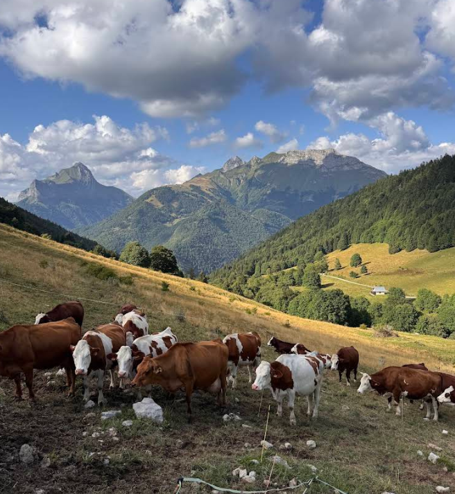 photofermed-emilien-511