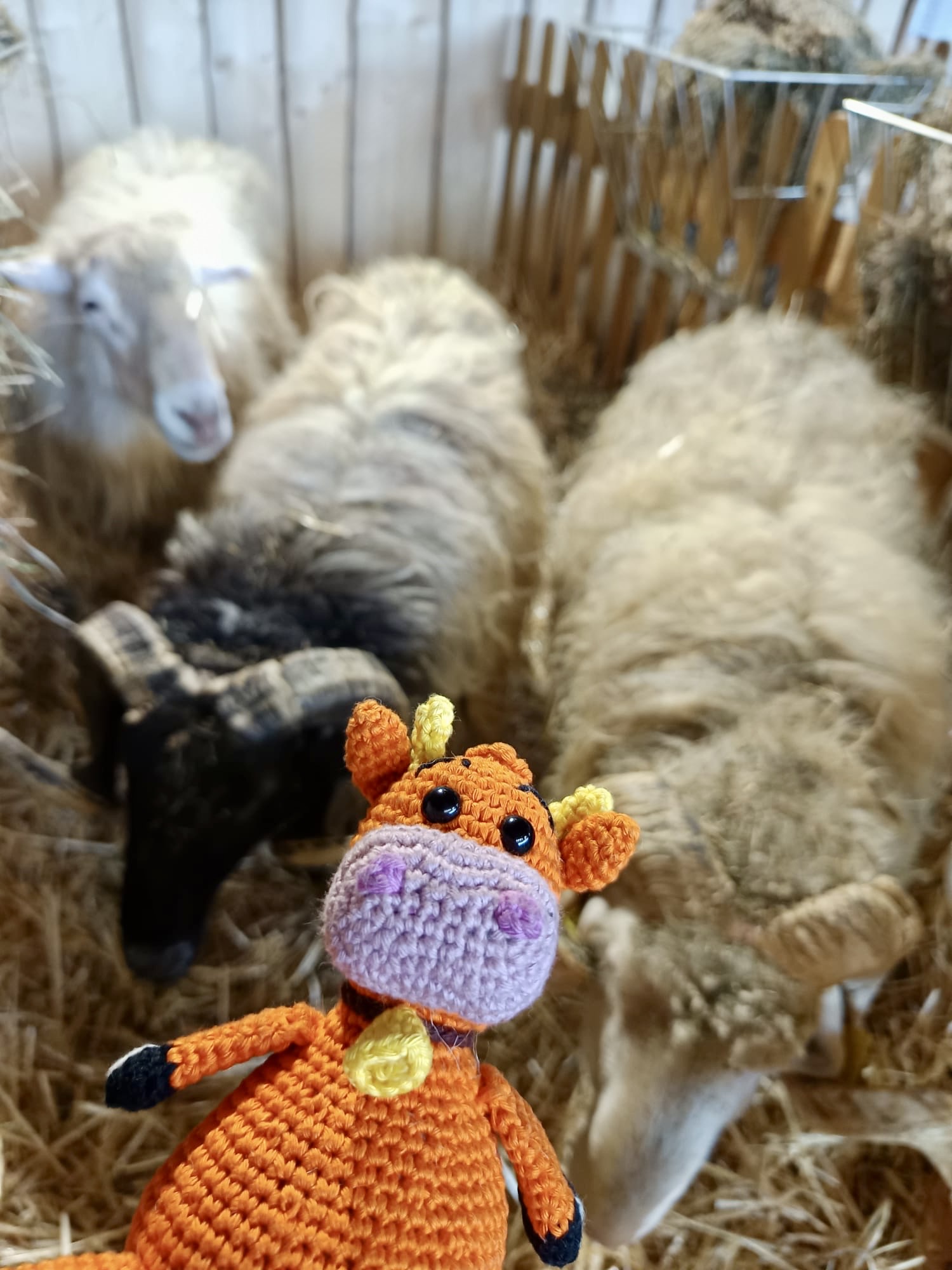 dc01b5e0-2e56-4b1a-9574-ae41d09bc1b6-150 dc01b5e0-2e56-4b1a-9574-ae41d09bc1b6-150