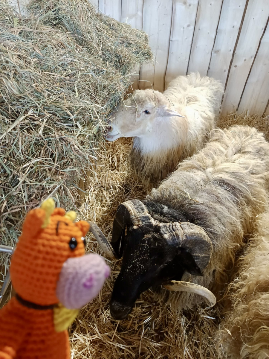 2e8e4b20-4927-4954-8674-663ac27bf459-148 2e8e4b20-4927-4954-8674-663ac27bf459-148