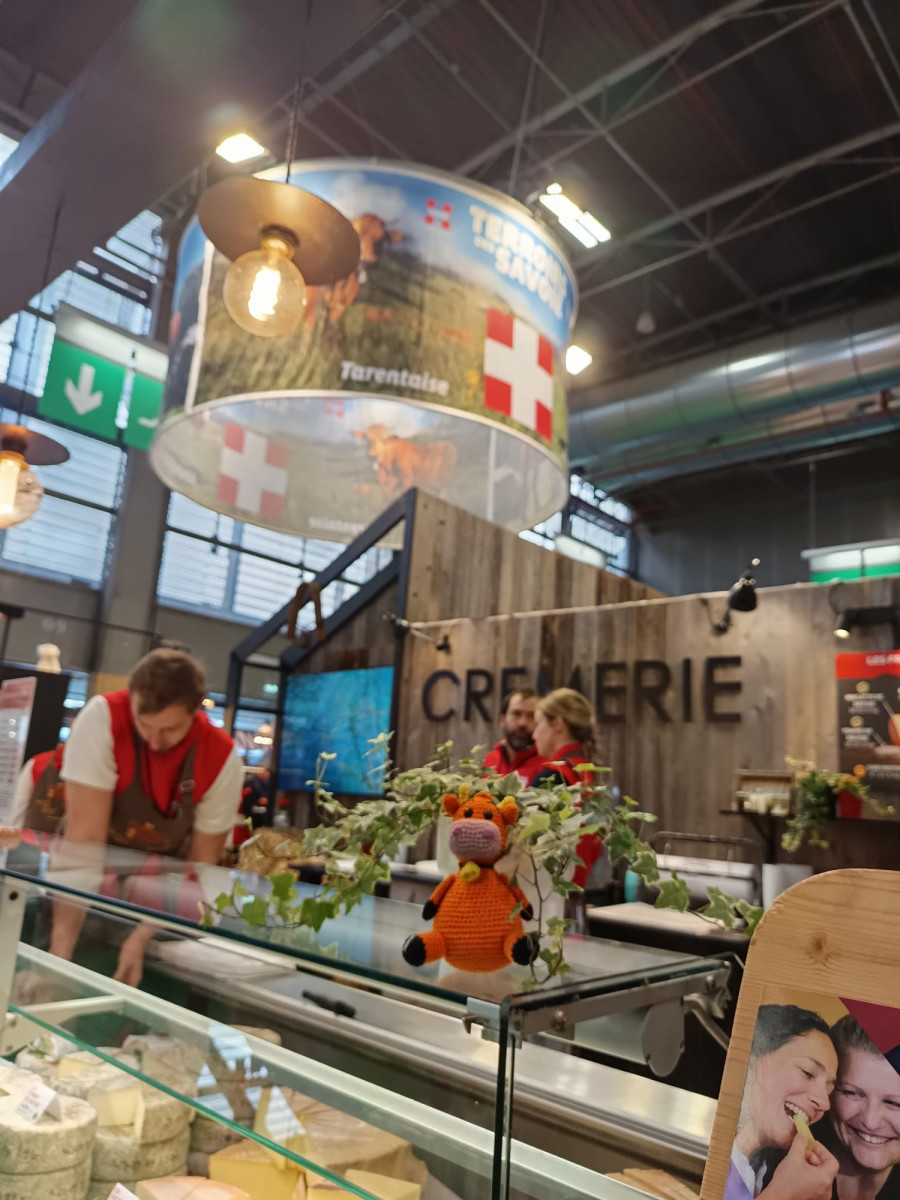 44718032-c252-447c-9712-3c3a5f5b9efc-146 44718032-c252-447c-9712-3c3a5f5b9efc-146