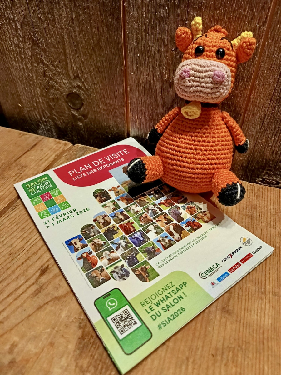 d80802b5-5fb6-44f3-b8a1-25abcfa249cb-149 d80802b5-5fb6-44f3-b8a1-25abcfa249cb-149