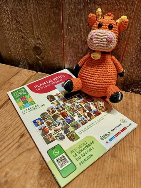 d80802b5-5fb6-44f3-b8a1-25abcfa249cb-149