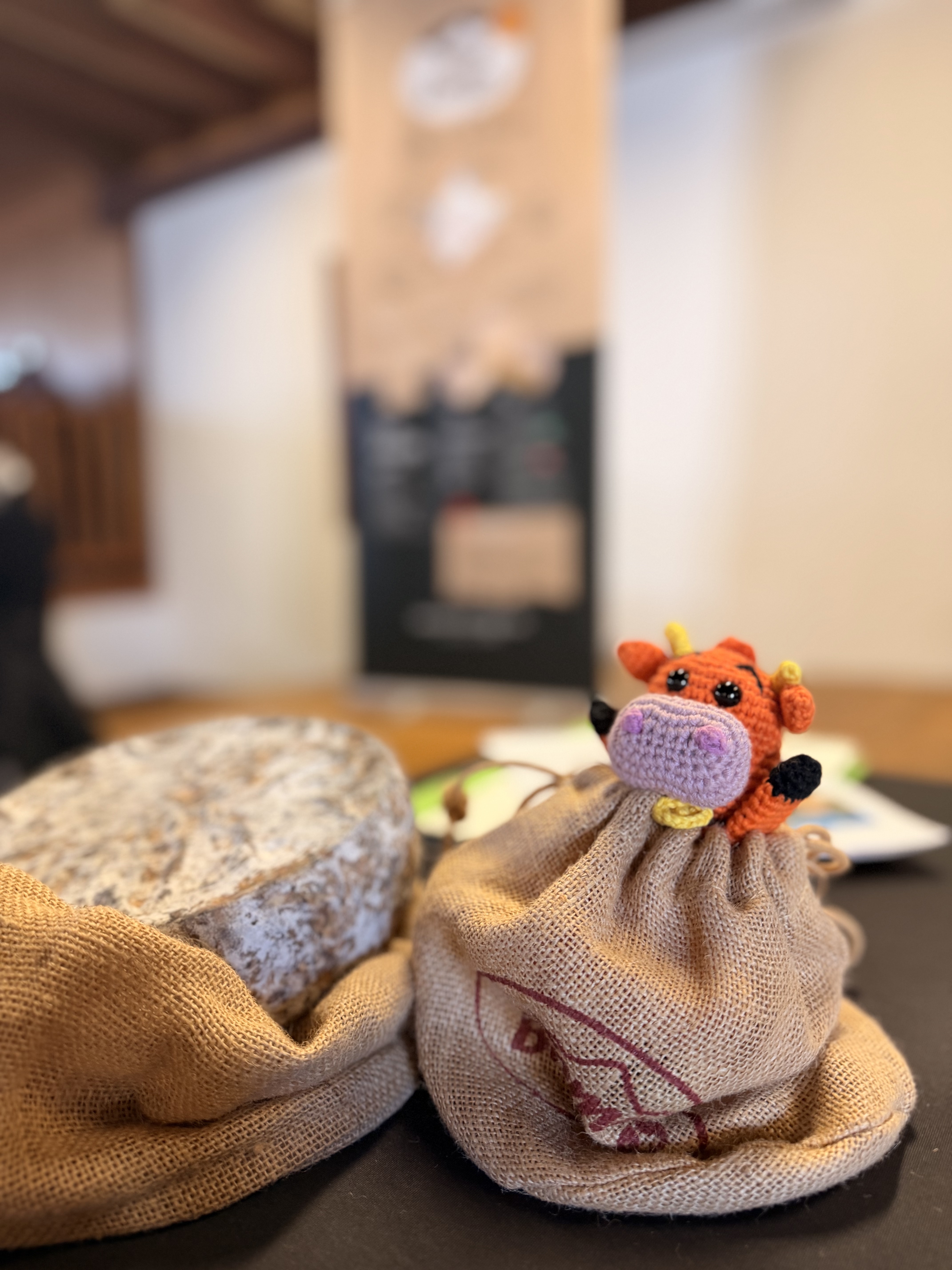 tome-des-bauges-ag-03-153