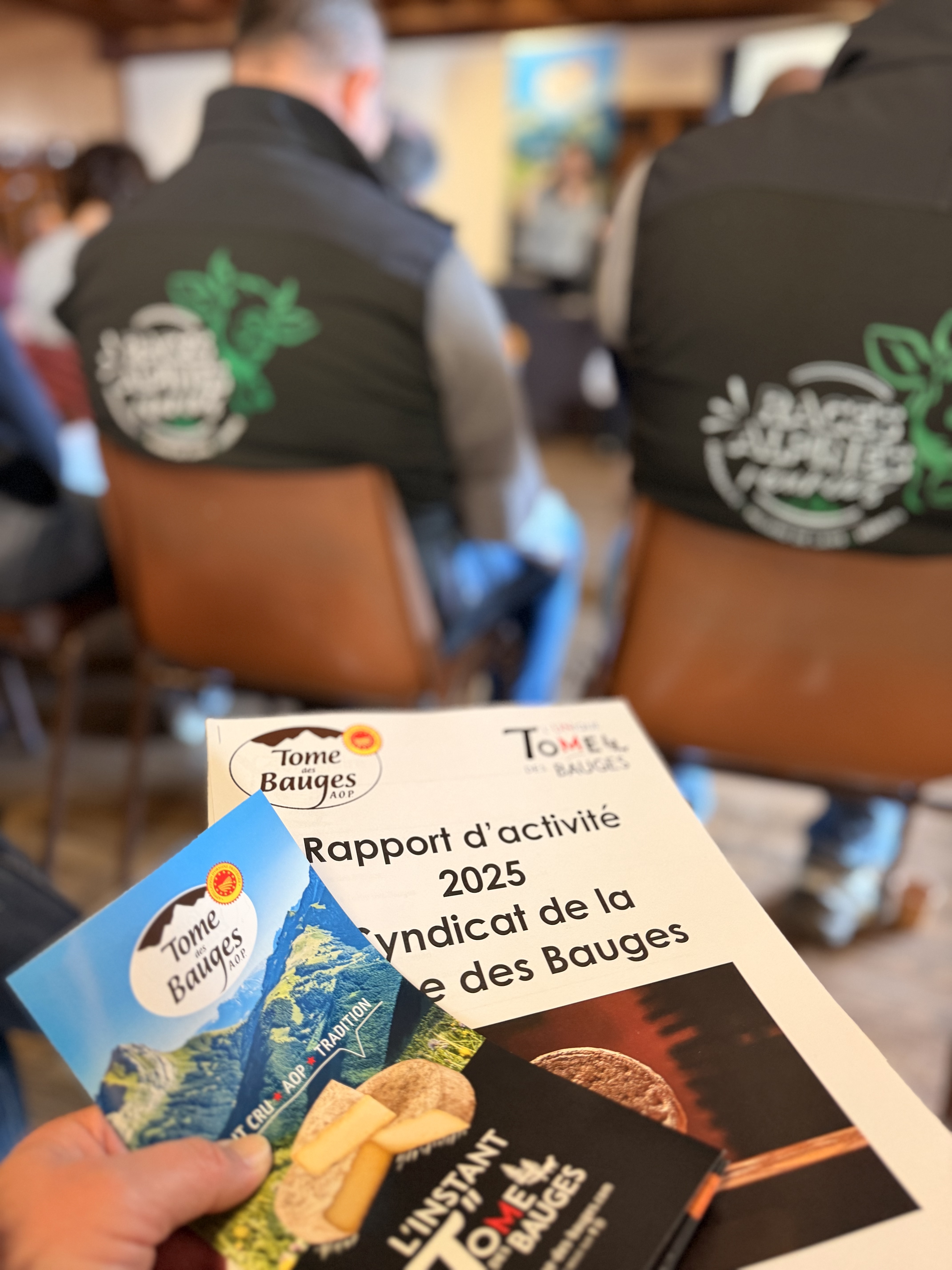 tome-des-bauges-ag-04-152